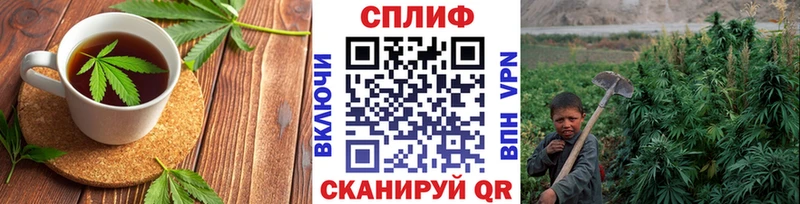 где купить наркотик  Руза  Еда ТГК марихуана 