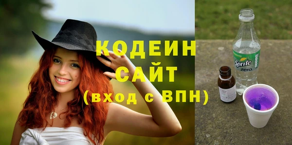 шишки Переславль-Залесский