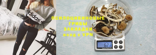 apvp Пересвет
