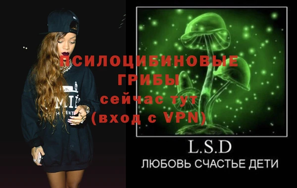 apvp Пересвет