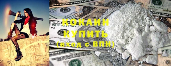 apvp Пересвет