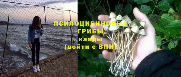 эйфоретик Пестово