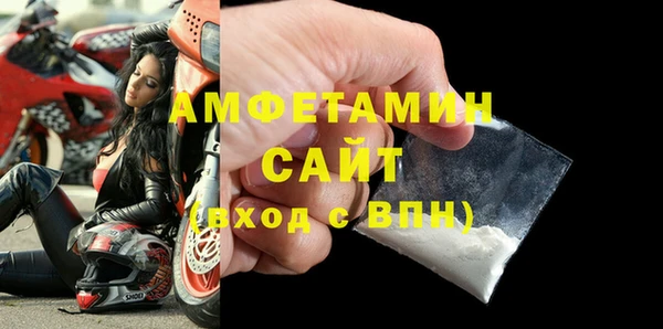 шишки Переславль-Залесский