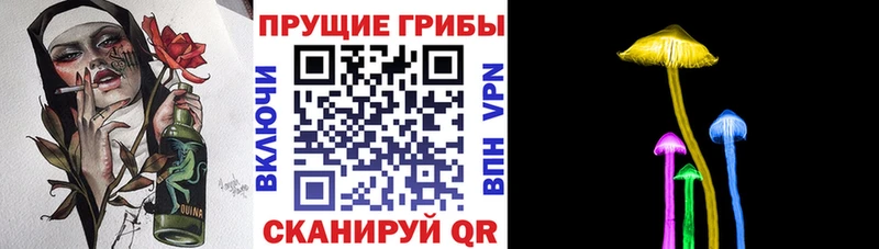 Галлюциногенные грибы ЛСД  где найти   Руза 